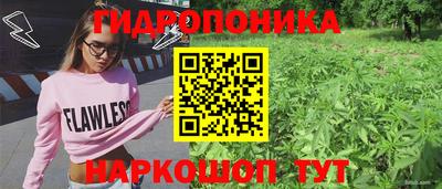 мяу мяу кристалл Ярославль