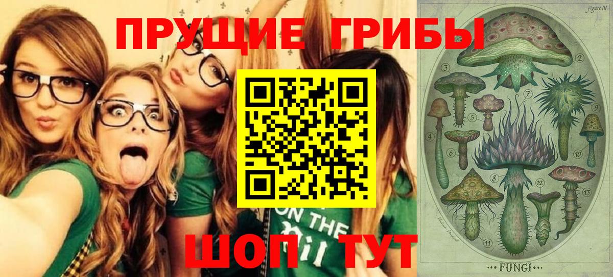 Карпинск  Псилоцибиновые грибы GOLDEN TEACHER  купить   Вход с VPN 
